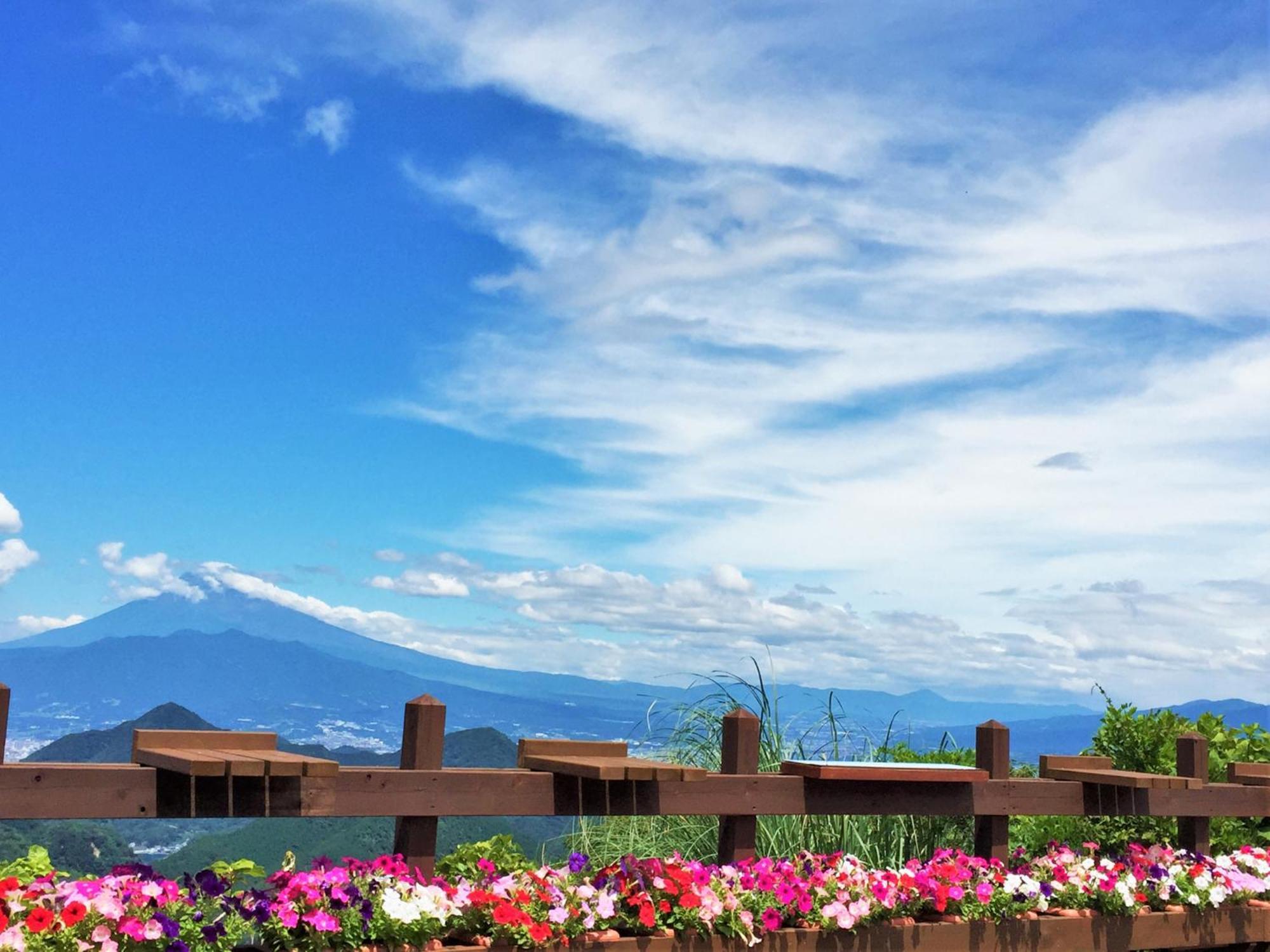 Izu Daisenya Hotel Izunokuni Екстериор снимка